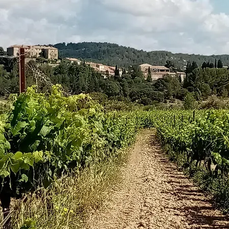 La Ruelle Uchelen Beaufort (Herault)